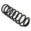 Coil Spring, Front