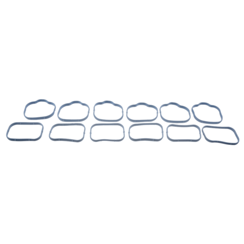 Intake Manifold Gasket