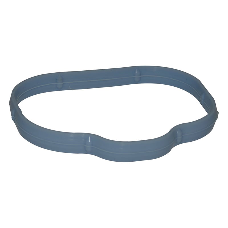Intake Manifold Seal