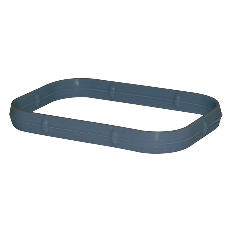 Intake Manifold Seal