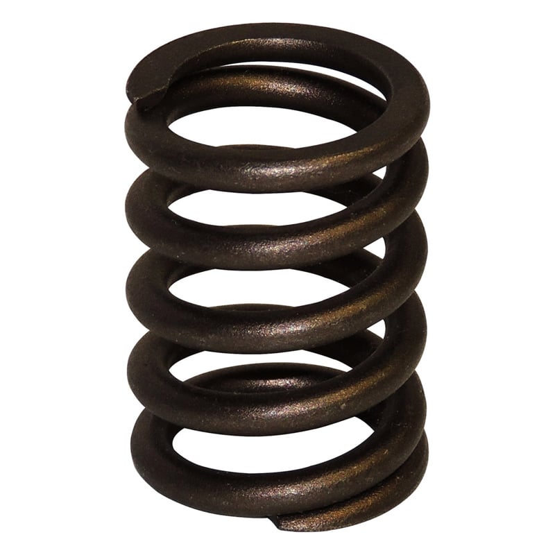 Valve Spring