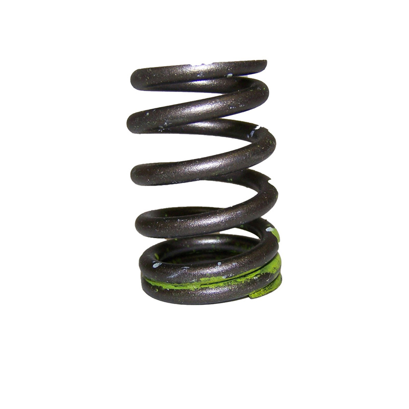Valve Spring
