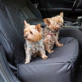 Pet Car booster Seat & Protector 2in1