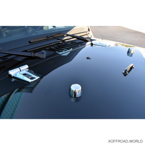 Door and Hood Hinge Overlays