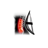 Mesh Lumbar Back Support