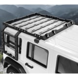 Economy Roof Rack with Ladder