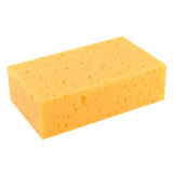 Sponge