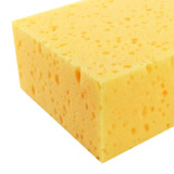 Sponge