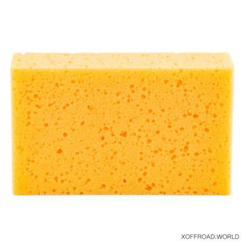 Sponge