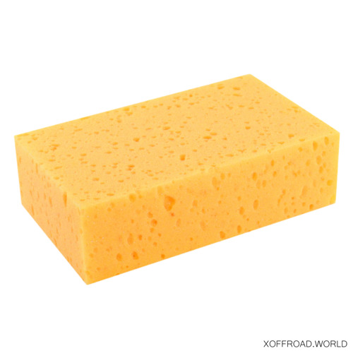 Sponge